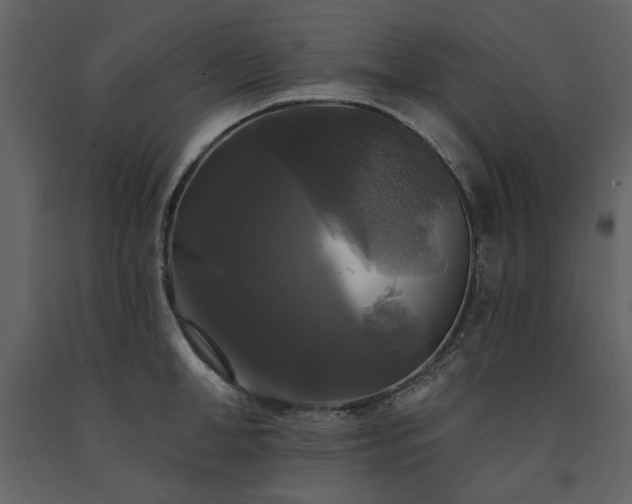 X0000091510998200708241625