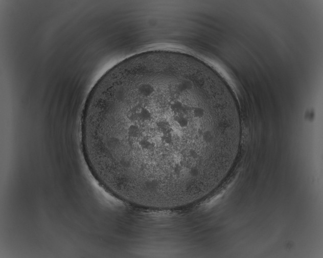 X0000091510999200708241625