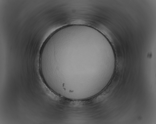 X0000091511000200708241625