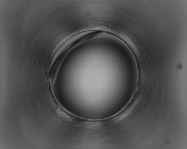 X0000091511001200708241625