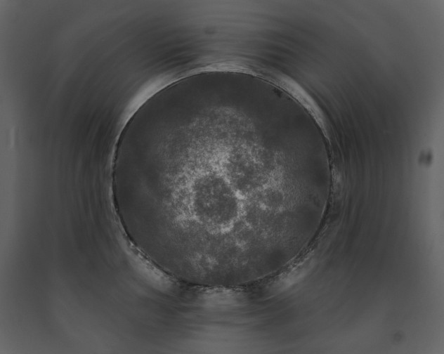 X0000091511002200708241625