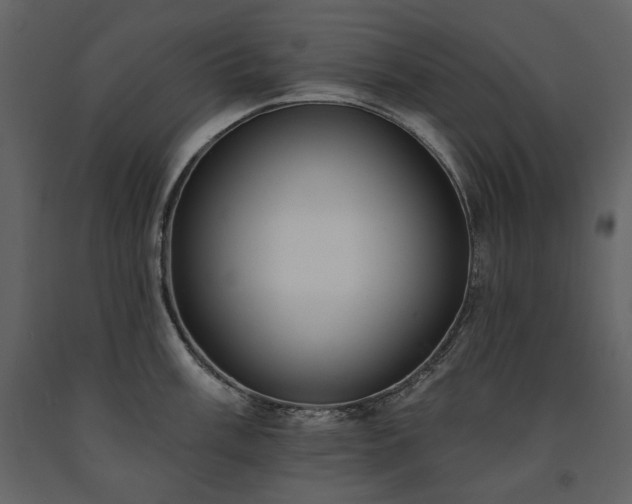 X0000091511003200708241625