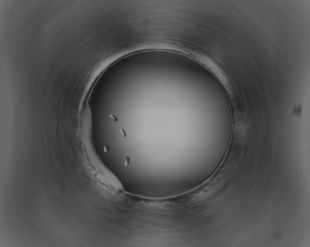 X0000091511004200708241625