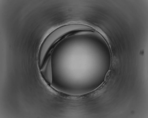 X0000091511005200708241625