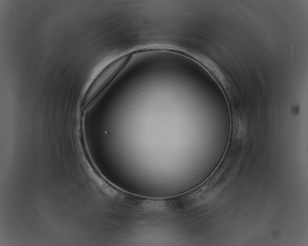 X0000091511006200708241625