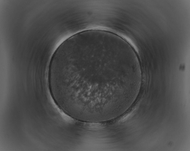 X0000091511007200708241625