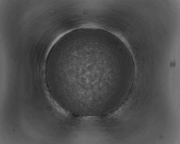 X0000091511008200708241625