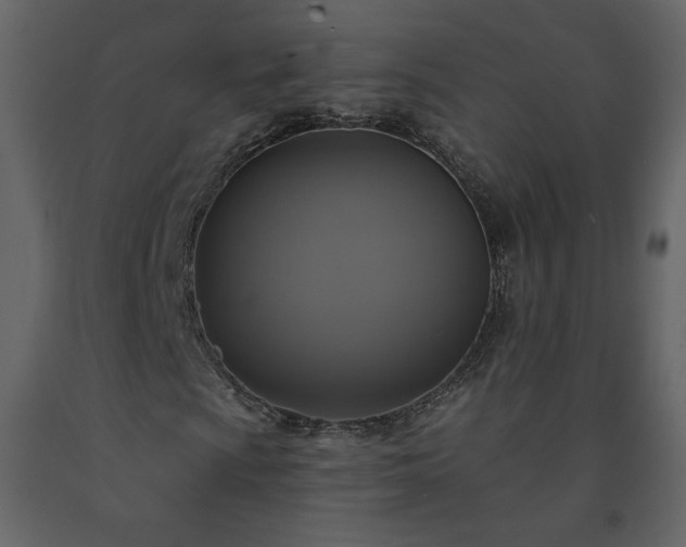 X0000091511009200708241624