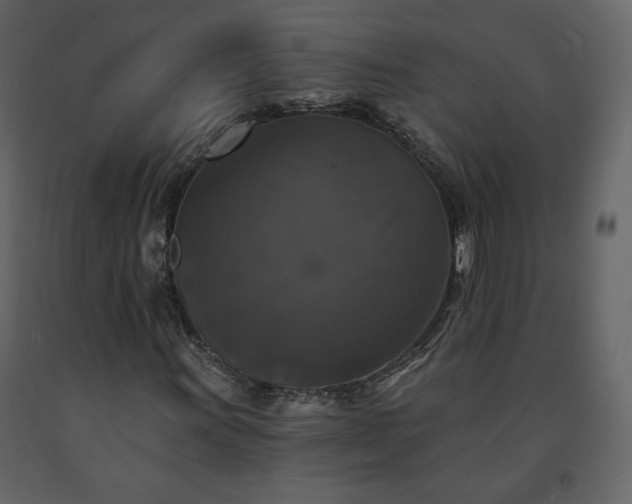 X0000091511011200708241624