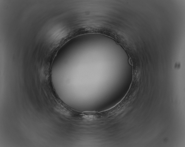 X0000091511012200708241625