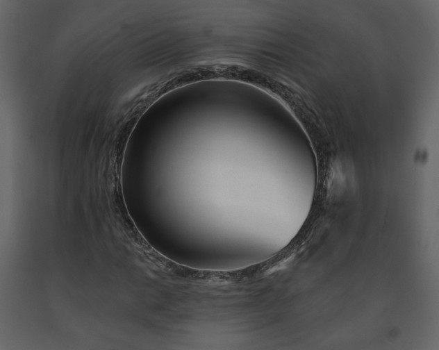 X0000091511014200708241625