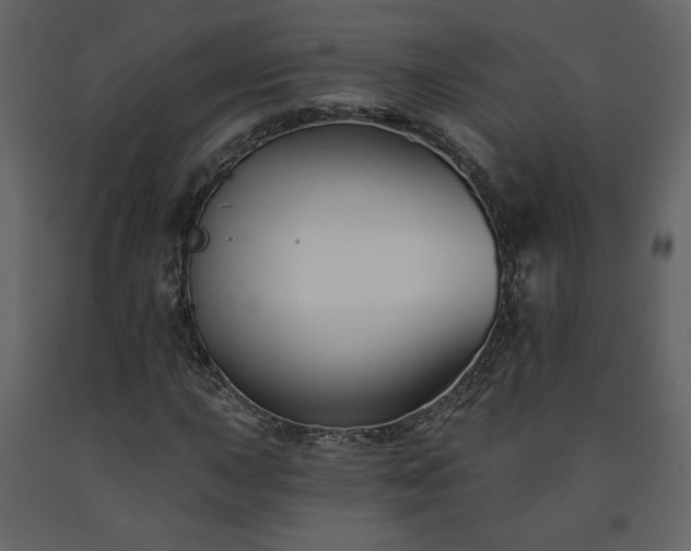 X0000091511015200708241625