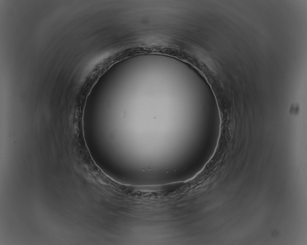 X0000091511016200708241625