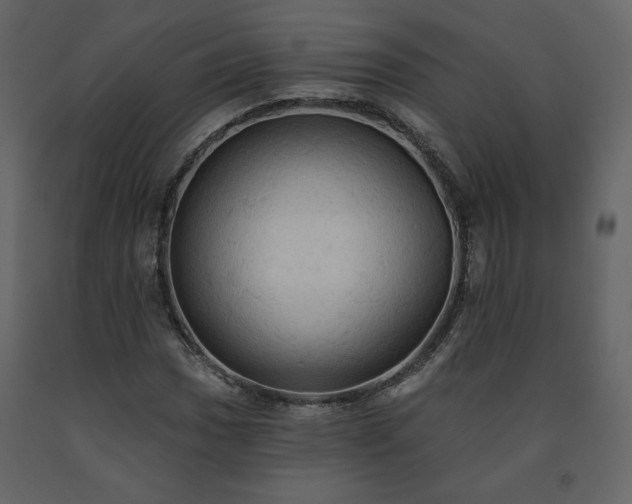 X0000091511017200708241625