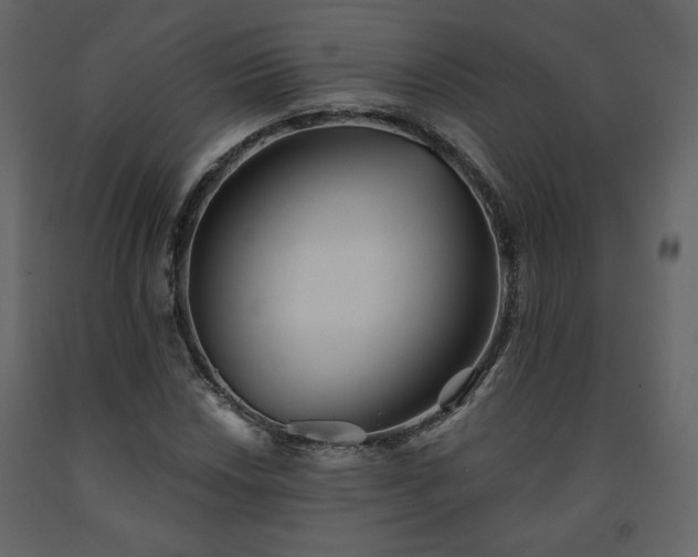 X0000091511018200708241625