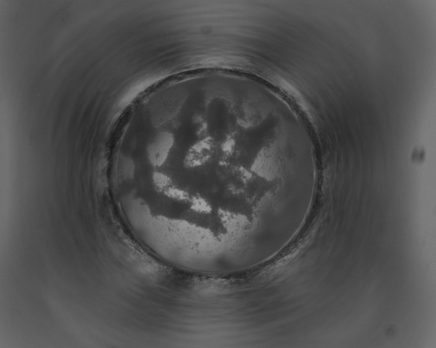 X0000091511019200708241625