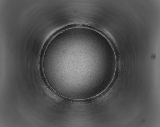 X0000091511020200708241625