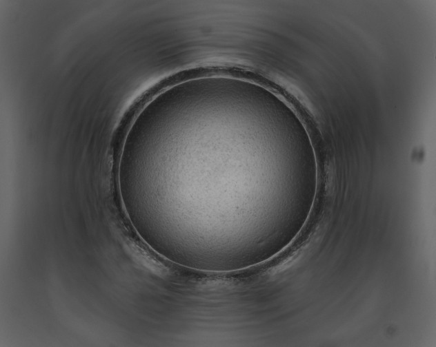 X0000091511021200708241625