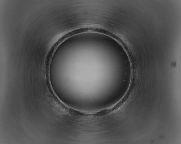 X0000091511022200708241625