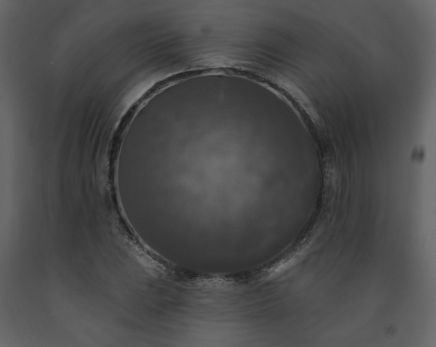 X0000091511023200708241625