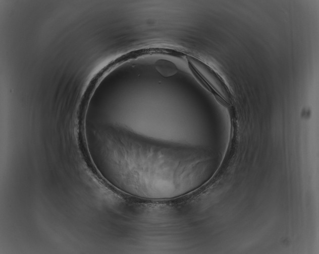 X0000091511024200708241625