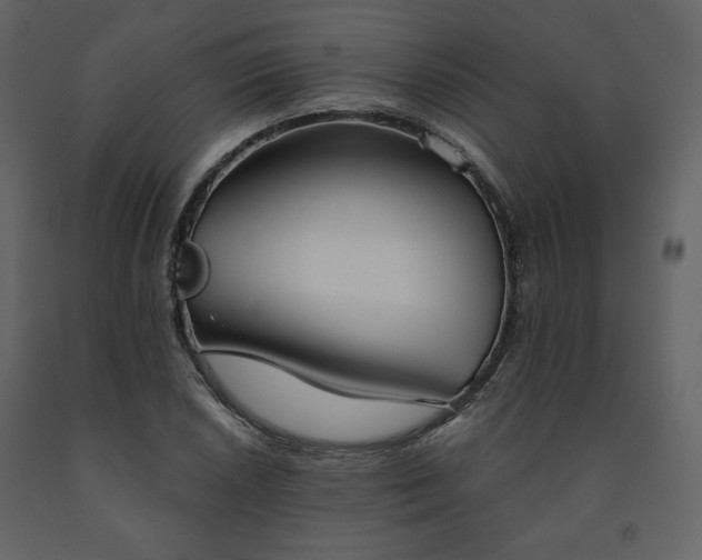 X0000091511026200708241625