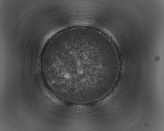 X0000091511027200708241625