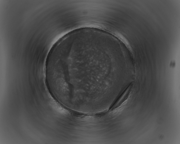 X0000091511028200708241625