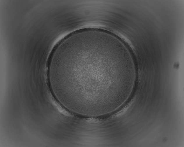 X0000091511029200708241625