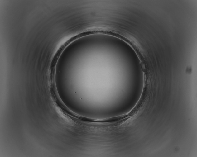 X0000091511030200708241625