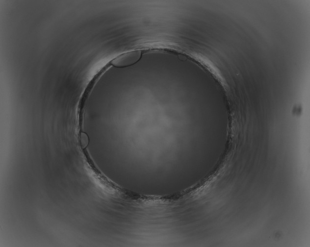 X0000091511031200708241625