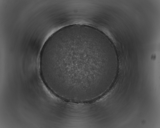 X0000091511032200708241625