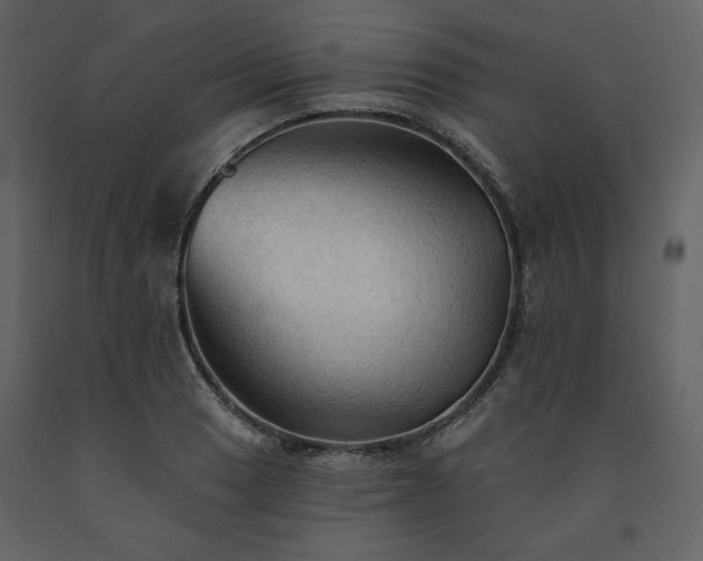 X0000091511033200708241625