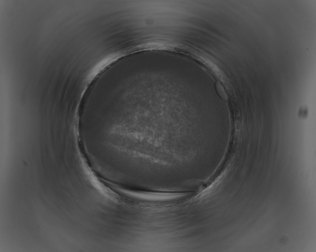 X0000091511034200708241625