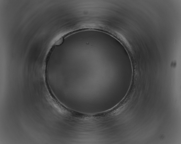 X0000091511035200708241625