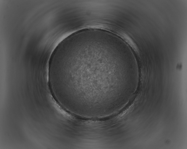 X0000091511036200708241625