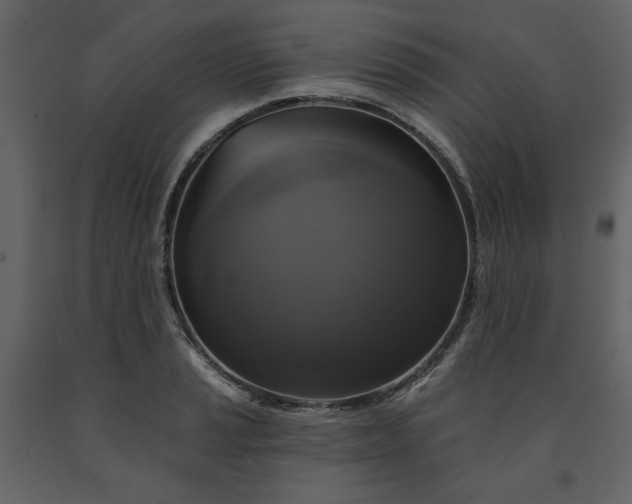 X0000091511037200708241625