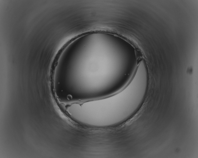 X0000091511038200708241625