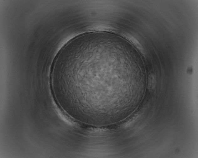 X0000091511039200708241625