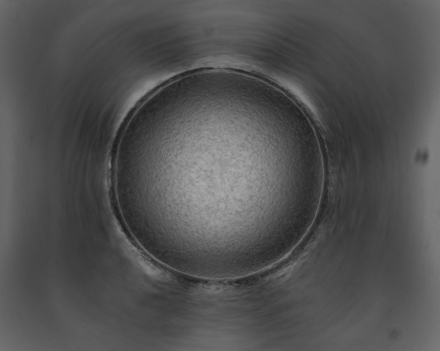 X0000091511040200708241625