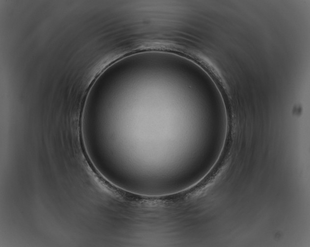 X0000091511041200708241625