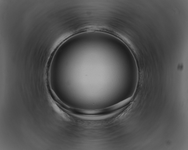 X0000091511042200708241625