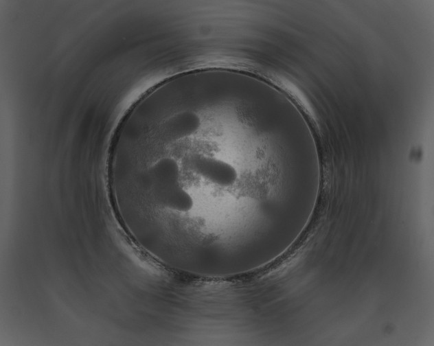 X0000091511043200708241625