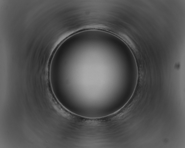 X0000091511044200708241625