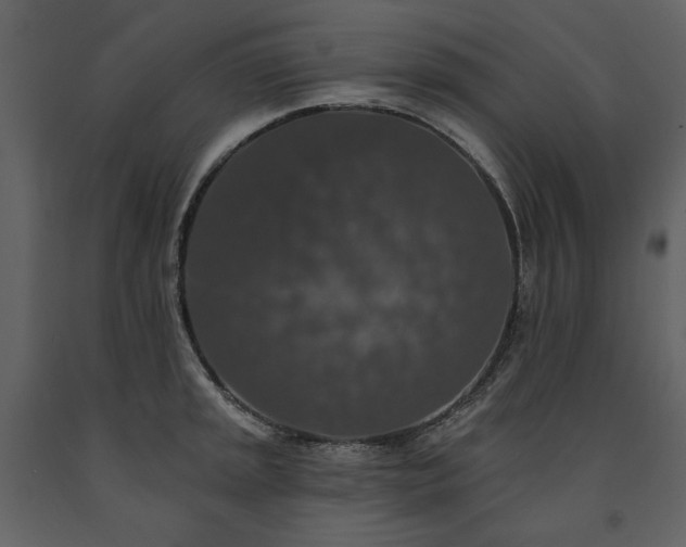 X0000091511045200708241625