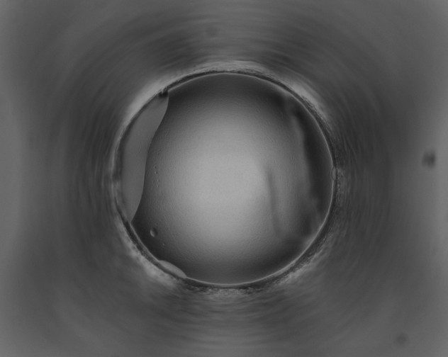 X0000091511046200708241625