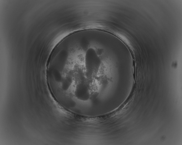 X0000091511047200708241625