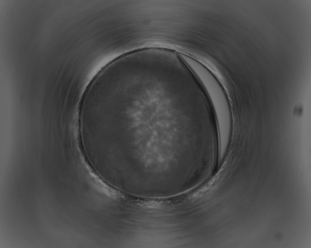 X0000091511048200708241625