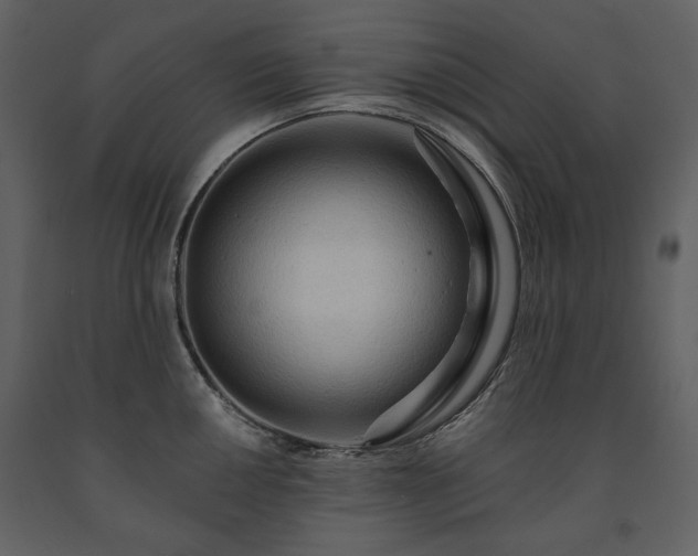 X0000091511050200708241625