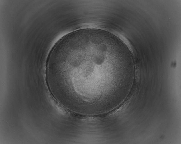 X0000091511051200708241625